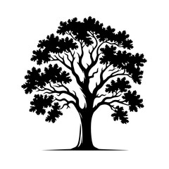 Obraz premium Clean black and white silhouette vector of a oak tree on white background