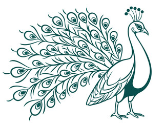 LOGO design of pecock , Elegant Peacock Logo Design with Colorful Feathers

Luxury Peacock Bird Logo Symbol for Brand Identity

Creative Peacock Logo with Abstract Feather Style