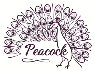 Naklejka premium Royal Elegance – Modern Peacock Logo DesignColorful Majesty – Luxury Peacock Branding ConceptElegant Feathers – Creative Peacock Logo Inspiration
