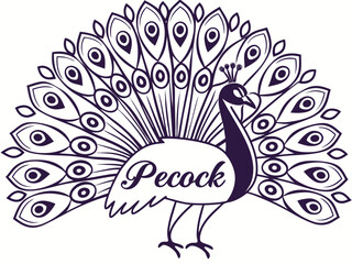 Fototapeta premium Royal Elegance – Modern Peacock Logo DesignColorful Majesty – Luxury Peacock Branding ConceptElegant Feathers – Creative Peacock Logo Inspiration