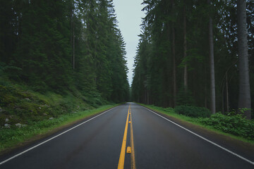Naklejka premium Photo of empty asphalt road through a green forest with tall trees on a cloudy day