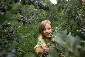 a blonde girl is squatting and picking berries