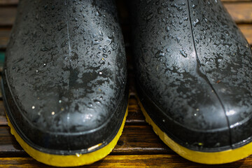 rubber boots on wet grass after rain