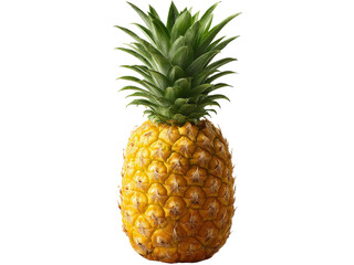 Fototapeta premium Ripe single pineapple isolated on black background tropical fruit, Isolated On White Background, Png Transparent