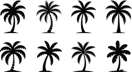 Collection of eight black silhouette palm trees on a white background