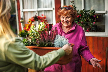 Fall gardening. Happy smiling senior woman and her adult daughter planting flowers, celebrating...