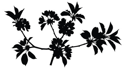 Black Silhouette of Flowering Plant with Leaves and Blossoms on White Background