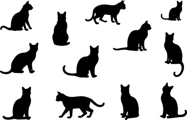 Black Cat Silhouette  Bundle Collection