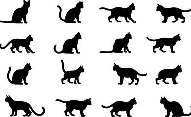 Black Cat Silhouette  Bundle Collection