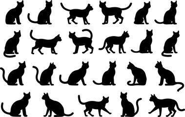 Black Cat Silhouette  Bundle Collection