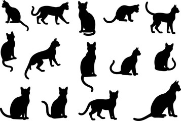 Black Cat Silhouette  Bundle Collection