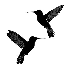 Obraz premium Two black hummingbirds flying are illustrated in silhouette form against a white background with detailed wing patterns, available in editable modern eps/eps