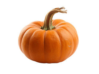 Fototapeta premium Single small orange pumpkin isolated on black background, Isolated On White Background, Png Transparent