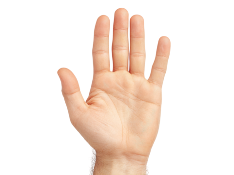 Open male hand palm up five fingers isolated black background, Isolated On White Background, Png Transparent
