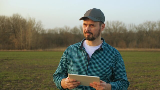 agriculture, an agronomist in the field works with a tablet, cultivated plants in the field, the farmer examines the seedlings, the growth and development of the business sales of the land development