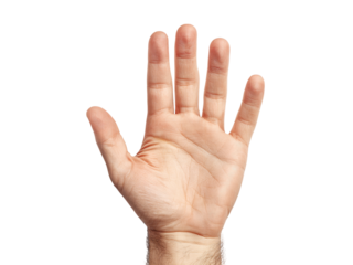Open hand gesture five fingers isolated black background, Isolated On White Background, Png Transparent