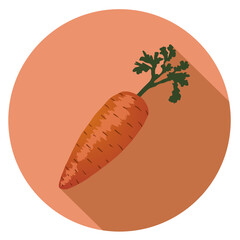 Vector illustration of a carrot