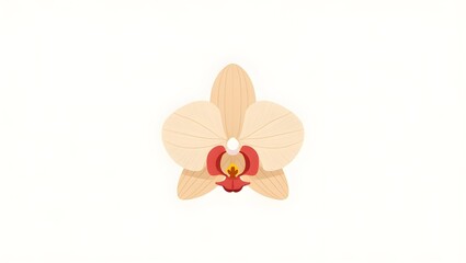 orchid isolated on white background