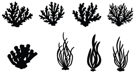 Silhouette Collection of Aquatic Plants and Seaweed for Graphic Design Elements