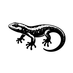 Obraz premium Lizard with spotted skin isolated on white background