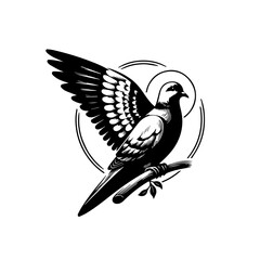 Elegant mourning dove perched on a branch with spread wing.