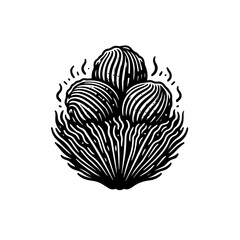 Vintage woodcut illustration of Turkish Kadaif dessert nests.