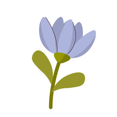 Blue tulip flower flat cartoon vector illustration isolated on white background. Spring and summer hand drawn flower. Floral element, wildflower, leaf and herb, plant. Spring blossom icon. 