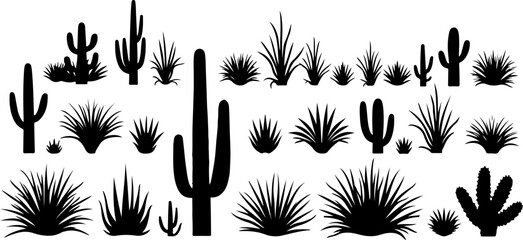 Cactus and Desert Plant Silhouettes Collection
