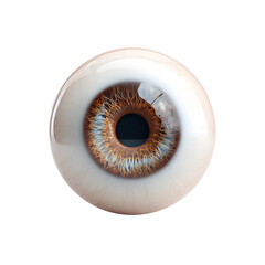 Detailed rendering of a realistic human eye with a brown and blue iris