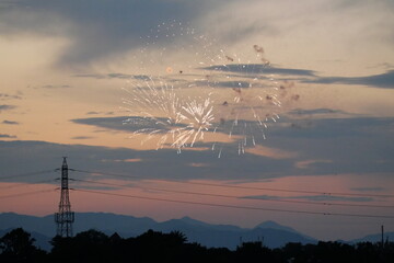 夕空に映える打ち上げ花火（八王子花火大会）