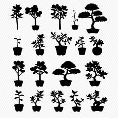 A collection of black silhouettes showing various potted houseplants, including bonsai and succulent trees.