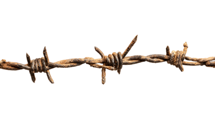Close up of rusty barbed wire strand isolated on transparent background