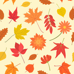 Fototapeta premium Fall leaves seamless pattern. Autumn foliage vortex repeat design. Hand drawn autumnal background. Dry maple leaf, golden yellow birch, red rowan, etc. Thanksgiving backdrop vector illustration.