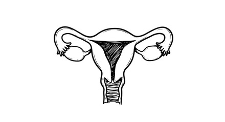 Symbolic uterus with heart emphasizing feminine health and love