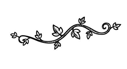 Decorative vine with curl line art for botanical design