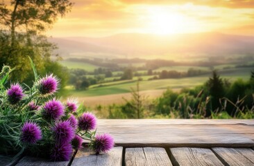 Aesthetic rustic wooden table with purple milk thistle flowers. Ideal for product Empty old boards copy space