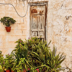 Old derelict building with wooden door and plants and weathered paint. Andalucia, Spain.