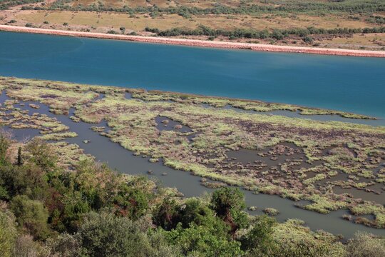 Wetlands of Butrint National Park in Albania