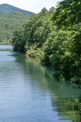 緑豊かな野反湖の風景