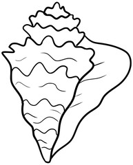 Conch Seashell Vector Outline Line Art Drawing