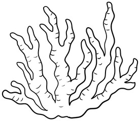 Coral Reef Vector Outline Line Art Drawing