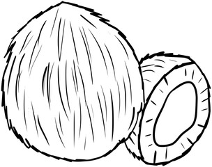 Coconut Fruits Vector Outline Line Art Drawing