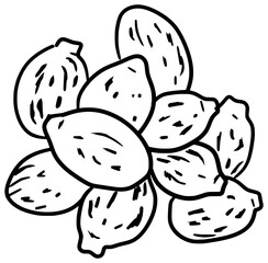 Castor Beans Vector Outline Line Art Drawing