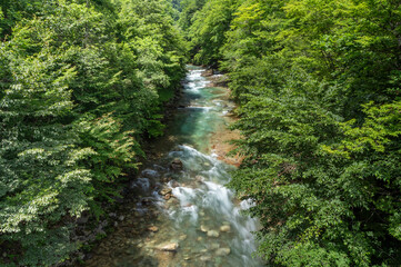 Obraz premium 夏の豊かな緑に囲まれた白砂川の渓谷