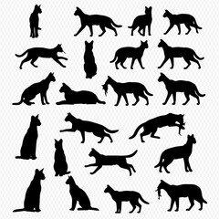 A collection of slender black cat silhouettes in various poses, including sitting, walking, running, and carrying prey.
