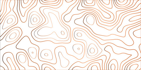  Topographic canyon geometric map relief texture with curved layers and shadow .Abstract geometric topographic contour map background. Panorama view gradient multicolor wave curve 