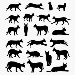 A collection of black silhouettes of a caracal or lynx in various dynamic and static poses.