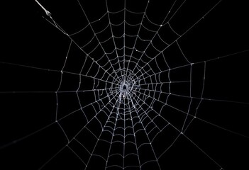 Obraz premium Intricate white spider silk web against a pure black backdrop, backdrop, geometric