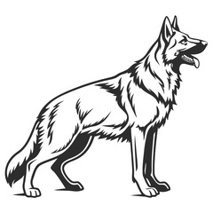 Fototapeta premium German Shepherd Dog Standing Profile Black and White Illustration