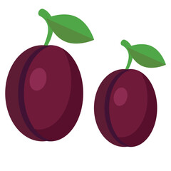 plum, fresh plum, ripe plum, organic plum, plum fruit, plum tree, plum blossom, plum juice, plum jam, plum jelly, plum preserves, plum compote, plum sauce, plum tart, plum pie, plum cake, plum muffin,